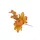  Bloomi.hu