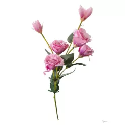  Bloomi.hu