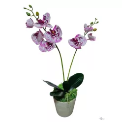 Bloomi.hu