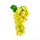  Bloomi.hu