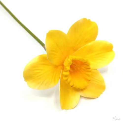 Élethű latex nárcisz szál sárga