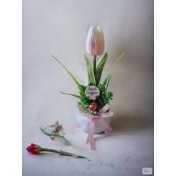 Anyáknapi tulipános, katicás ajándék