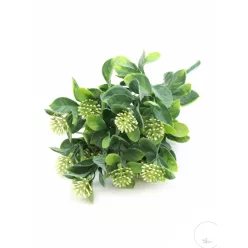  Bloomi.hu
