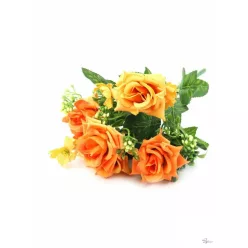  Bloomi.hu
