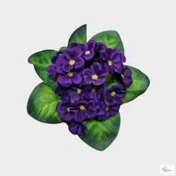  Bloomi.hu