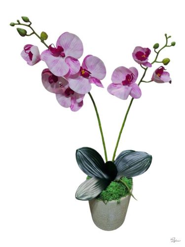 Cserepes gumi orchidea (pink)
