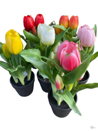 Cserepes gumi tulipán (6 különböző színben)