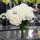  Bloomi.hu