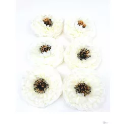  Bloomi.hu