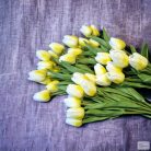 Gumi tulipán (cirmos sárga)