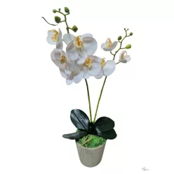  Bloomi.hu