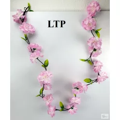 Bloomi.hu