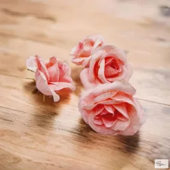  Bloomi.hu