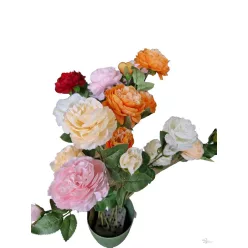  Bloomi.hu