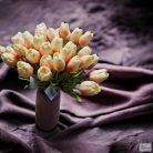 Gumi tulipán (barack) ÚJDONSÁG