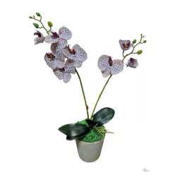  Bloomi.hu