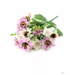  Bloomi.hu