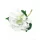  Bloomi.hu