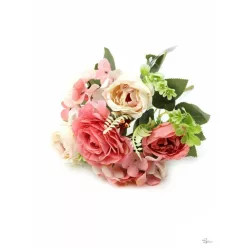  Bloomi.hu