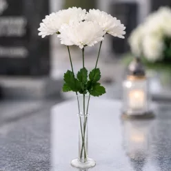  Bloomi.hu