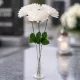  Bloomi.hu