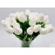 Gumi tulipán (fehér)