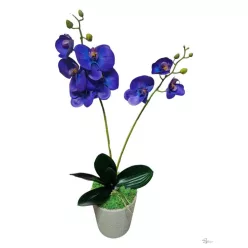  Bloomi.hu