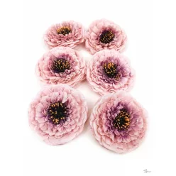  Bloomi.hu