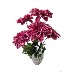  Bloomi.hu