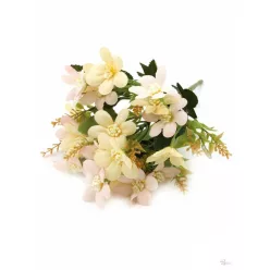 Bloomi.hu