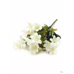  Bloomi.hu