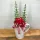  Bloomi.hu