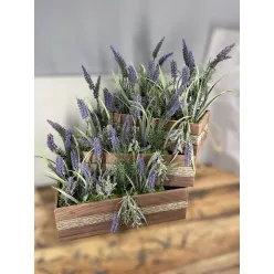  Bloomi.hu