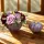  Bloomi.hu