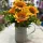  Bloomi.hu