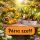  Bloomi