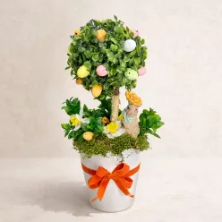 Bloomi