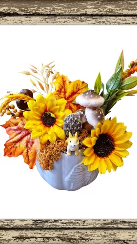  Bloomi.hu