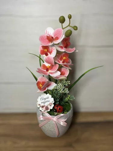  Bloomi.hu