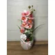  Bloomi.hu
