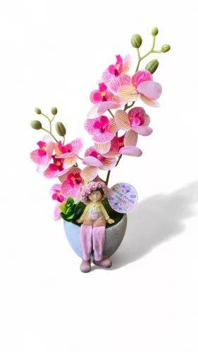  Bloomi.hu