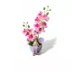  Bloomi.hu