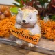 Bloomi.hu