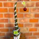  Bloomi.hu