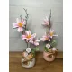  Bloomi.hu