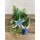  Bloomi.hu