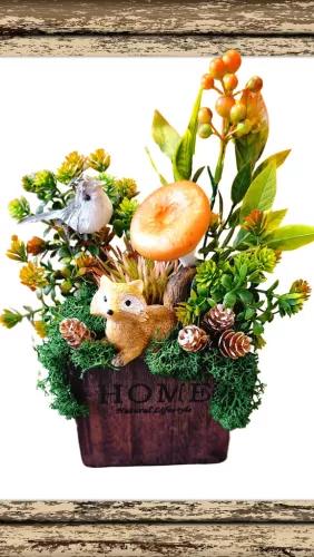  Bloomi.hu