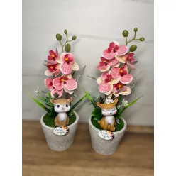  Bloomi.hu