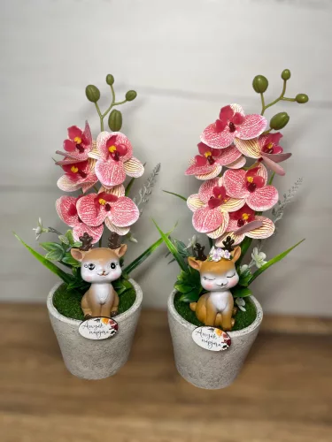  Bloomi.hu