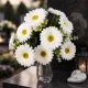 Fehér művirág gerbera csokor sírra, 12 fejes, zöld levelekkel, temetői vázában